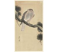 SERENDIPITP Vintage Wall Art Canvas Nordic Poster Canvas Print Picture Two Doves At Falling Ginkgo Leaves by Ohara Koson Wall Art Poster for Home Decor 60x90cm