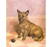 SERENDIPITP Vintage Wall Art Canvas Nordic Poster Canvas Print Picture Waiting to Play a Cairn Terrier with a Ball by Frank Paton Wall Art Poster for Home Decor 60x90cm