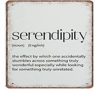 Serendipity New Job Gift Good Luck Poster Definition Wall Art Quote Print Typography Novelty Tin Metal Sign Plaque Bar Pub Retro Decor 12x12 Inch