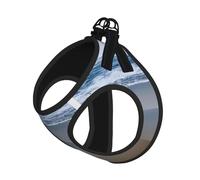 Serene Coastal Print Pet Leash Vest,Breathable Mesh Pet Harness, Reflective For Small Medium Dogs Safe Easy Walking