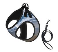 Serene Coastal Print Soft Mesh Dog Harness and Leash Set Pet Puppy Cat Comfort Padded Vest No Pull Harnesses