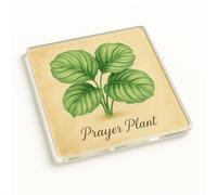 Serene Garden Muse Acrylic Coaster Gift - Vintage Watercolour Illustration Drinkware Table Accessory