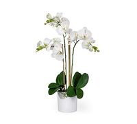 Serene Spaces Living 3 White Realistic Phalaenopsis Orchids in Pot, Artificial Potted Flowers - Beautiful Entryway Vase, Foyer Table Décor, Measures 26" Tall & 5" Diameter