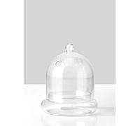 Serene Spaces Living Glass Cloche, Ideal as a Terrarium, Measures 6" Tall and 5" Diameter