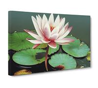 Serene Water Lily Flower Canvas Print | Gallery Wrapped 30mm Frame Wall Art | 30x20 inches | Ready to Hang | Contemporary Floral Picture | Living Room Bedroom Lounge Office