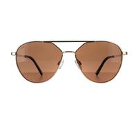 Serengeti Odell Glasses, Shiny Light Gold, M Unisex Adult