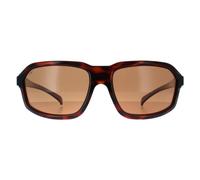Serengeti Sunglasses Hext SS571004 Shiny Tortoise Saturn Drivers Polarized