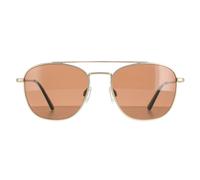 Serengeti Carroll Polarized SS542004 Men's Sunglasses Gold Size 53