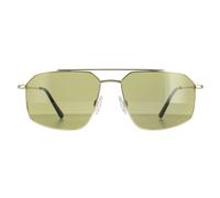 Serengeti Wayne Mens Shiny Light Gold Sunglasses