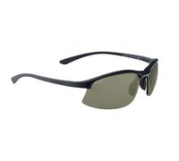 Serengeti Winslow 2.0 Sunglasses