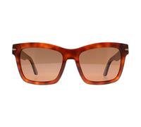 Serengeti Women's Square Shiny Classic Havana Mineral Polarized Drivers Winona in Brown Serengeti Brown One Size