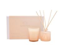 Serenity - Breathe Reed Diffuser & Candle Set - Eucalyptus, Sage & Vetiver Scented - Relaxing Elegant Home Scent for Home & Office Ambiance - Gifting Present Set - H: 7cm x W: 5cm.