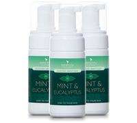Serenity Hygiene Ethanol-Free Hand Sanitiser Foam Mint & Eucalyptus Scent 100Ml Pack Of 6