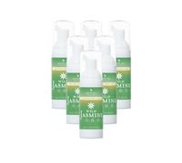 Serenity Hygiene Ethanol-Free Hand Sanitiser Foam Wild Jasmine Scent 50Ml Pack Of 6