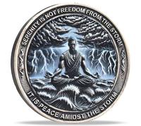Serenity Peace Within The Storm Sobriety Chip AA Medallion with Serenity Prayer Perfect for AA Recovery and Motivation (Single Coin)