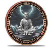 Serenity Peapce Challenge Coin - Inspirational Recovery Pocket Token Medallion, “Serenity is Not Freedom from The Storm, but Peace Amid The Storm”, Strength and Resilience Coin
