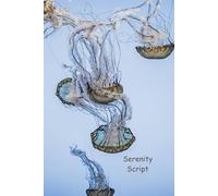 Serenity Script: A Mindful Journal for Reflection, Self-Care, and Everyday Balance