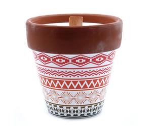Serenityy Agnes + Cat Herb Garden Candles - Mint