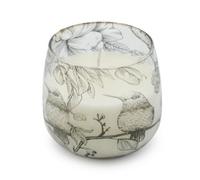 Serenityy Aw Dropship Uk Medium Glass Jar Candle - Drawn By Flame, Illustrated Birds & Botanicals, 400G.