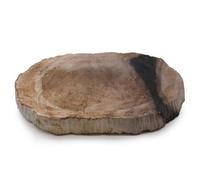 Serenityy Aw Dropship Uk Petrified Wood Soap Dish - Brown/black, Handcrafted Polished Top