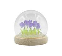 Serenityy Floral Glow Garden Dome - Tulips - Led Usb