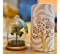 Serenityy Green Aventurine Gemstone Dome Garden - Handcrafted Tree With 30 Chipstones, Glass Dome And Wooden Base