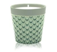 Serenityy Home Is Home Large Soy Candle Pot Fruit Basket - Green, 45H Burn, British Made