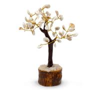 Serenityy Large Gomati Chakra Circle Stone Tree - Pack Of 60 Decorative Stones, Lightweight 120G