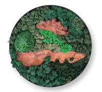 Serenzy 12" Round Cedar & Preserved Moss Wall Art | Unique No-Maintenance Decor for Home, Office, Restaurant, Irregular Linear Wood