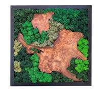 Serenzy 12" Square Cedar & Preserved Moss Wall Art | Unique No-Maintenance Decor for Home, Office, Restaurant, Center Wood Piece
