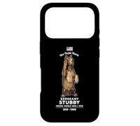 Sergeant Stubby Case for iPhone 17 Pro