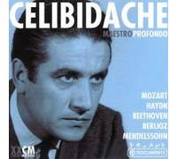 Sergiu Celibidache - Sergiu Celibidache (1912-1996) Maestro Profondo 2 CDs