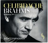 Brahms: Symphony No. 1