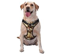 Serious and focused little cat reflective Oxford unobstructed pet vest, easy to control handle, suitable for small, medium and large dogs