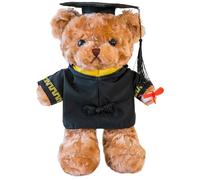 SERTAS Graduation Teddy Bear Gift for University & School Leavers, Soft Plush Keepsake with Graduation Hat, Multi-Colour (30CM Brown)