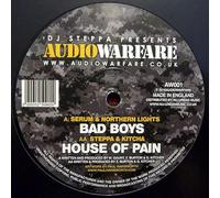 Serum & Northern Lights - Bad Boys / House Of Pain