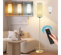 Seruno X Floor Lamp Grey Standing Lamp with Remote Control, Dimmable Color Temperatures, 9W Bulb Included, Modern Gold Pole Standard Corner Lamp with Foot Switch for Living Room Bedroom Office
