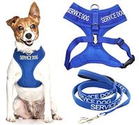 SERVICE DOG Blue Colour Coded Non Pull Padded Vest Dog Harness and Padded Lead (Small & 1.2m lead)