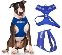 SERVICE DOG (Do Not Disturb/Dog Is Working) Blue Colour Coded Non-Pull Front and Back D Ring Padded and Waterproof Vest Dog Harness PREVENTS Accidents By Warning Others Of Your Dog In Advance (L)