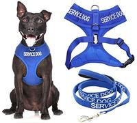 SERVICE DOG (Do Not Disturb/Dog Is Working) Blue Colour Coded Non-Pull Front and Back D Ring Padded and Waterproof Vest Dog Harness S M and 1.2m or 1.8m Neoprene Padded Lead Set PREVENTS Accidents By Warning Others Of Your Dog In Advance (M & 1.2m)