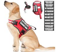 Service Dog Harness and Leash Set, Training Dog Vest with 10 Dog Patches, Emotional Support Therapy Dog Vest Harness for Small Medium Large and Extra Large Dogs(Red, L)