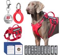 Service Dog Harness + ID Tag 50 ADA Information Cards - No Pull Dog Vest 10 PCS Removable Patches - Reflective Emotional Support Animal Vest for Small Dogs - Adjustable Breathable ESA Training Vest