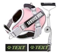 Service Dog Harness + Lead + 2 Personalised Labels (Pink, L)