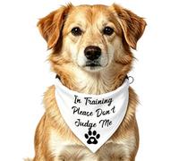 Service Dog in Training Please Don't Judge Me Dog Bandana Funny Training Puppy Pet Scarf Gift for Dog (Don't Judge Me)