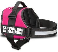 Service Dog in Training Vest with Hook and Loop Straps and Handle - Harnesses in Sizes from XXS to XXL - Service Dog Vest Harness Features Reflective Patch and Comfortable Mesh Design (Pink, Small)