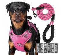 Service Dog Tactical Vest Harness and Leash Set Large Sized Dog Emotional Support- Tactical Dog Harness Training Collar with Name (Rose Red, M)