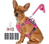 Service Dog Vest for Small Breed Dogs with ID Tag - Lightweight Puppy Harness and Leash Set with 6 PCS Patches, Ideal Service Animal Vest for Training, Complete Service Dog Gear, Hot Pink, S