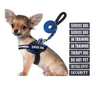Service Dog Vest Harness and Leash Set, Animire in Training Dog Harness with 10 Dog Patches, Reflective Dog Leash with Soft Padded Handle for Small, Medium, Large, and Extra-Large Dogs (Blue,S)