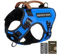 Service Dog Vest - HEYCAHVA Tactical Dog Harness Full Metal Buckles Dog Vest for Large Medium Dog Reflective No Pull Dog Harnesses with Leather Handle, Hook & Loop for Hiking Training (Blue, XL)