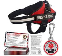 Service Dog Vest, ID Tag 50 ADA Information Cards, Harness with Patchs - XS